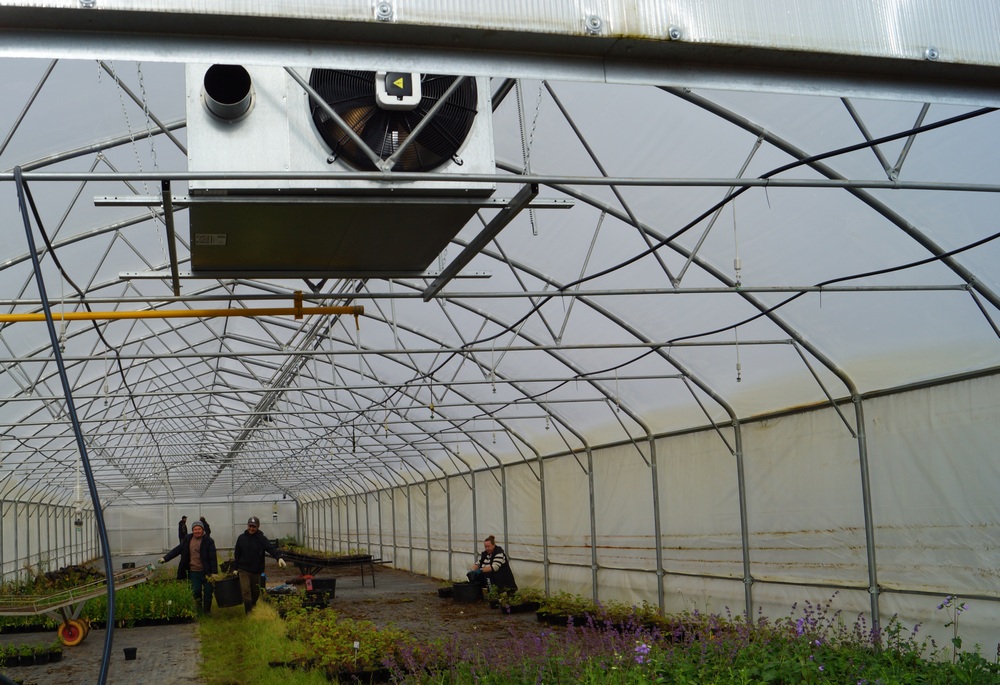 В селе Кучки Владимирской области газифицирован тепличный комплекс питомника декоративных растений