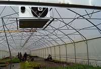 В селе Кучки Владимирской области газифицирован тепличный комплекс питомника декоративных растений В селе Кучки Владимирской области газифицирован тепличный комплекс питомника декоративных растений
